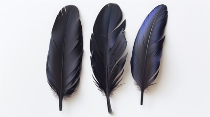 Three sleek raven feathers elegantly arranged on a pure white background 