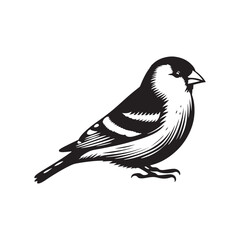 Obraz premium Charming American Goldfinch Silhouette Vector - Vibrant Bird Design Perfect for Nature Art - Minimalist American Goldfinch Illustration.