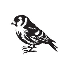 Charming American Goldfinch Silhouette Vector - Vibrant Bird Design Perfect for Nature Art - Minimalist American Goldfinch Illustration.