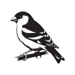 Charming American Goldfinch Silhouette Vector - Vibrant Bird Design Perfect for Nature Art - Minimalist American Goldfinch Illustration.