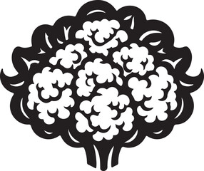 Cauliflower silhouette vector art illustration. Cauliflower vector icon.