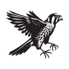 Sleek American Kestrel Silhouette Vector: Dynamic Bird of Prey Design Perfect for Wildlife Art - Black and White American Kestrel Illustration.