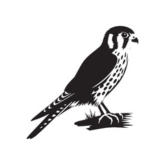 Sleek American Kestrel Silhouette Vector: Dynamic Bird of Prey Design Perfect for Wildlife Art - Black and White American Kestrel Illustration.