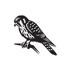 Sleek American Kestrel Silhouette Vector: Dynamic Bird of Prey Design Perfect for Wildlife Art - Black and White American Kestrel Illustration.