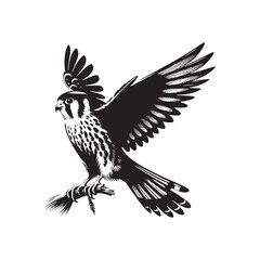 Sleek American Kestrel Silhouette Vector: Dynamic Bird of Prey Design Perfect for Wildlife Art - Black and White American Kestrel Illustration.