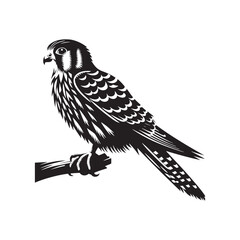 Obraz premium Sleek American Kestrel Silhouette Vector: Dynamic Bird of Prey Design Perfect for Wildlife Art - Black and White American Kestrel Illustration.