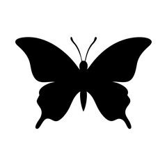 butterfly vector illustration