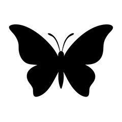 butterfly vector illustration
