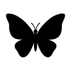 butterfly vector illustration