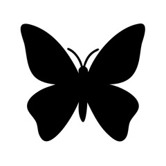 butterfly vector illustration