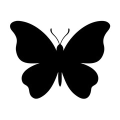 Fototapeta premium butterfly vector illustration
