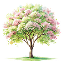 Watercolor blooming flower tree or forest side view isolated on white background for landscape