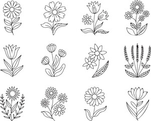 Chamomile and Wildflower Line Art Set – Floral Sketch Collection, Hand-Drawn Chamomile & Flowers – Outline Vector Collection, Black and White Flower Icon Pack – Chamomile and Nature Sketches, vector