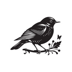 Elegant American Robin Silhouette Vector: Vibrant Songbird Design - Illustration of American Robin bird - Minimalist Bird Art.
