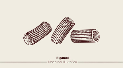 Rigatoni Italian Pasta. Vector hand-drawn sketch of food. Vintage style engraving. etching. Line art