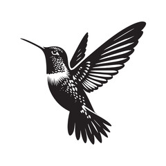 Obraz premium Anna's hummingbird Vector - Minimalist Anna's hummingbird Silhouette - Anna's hummingbird Illustration - Black and White Anna's hummingbird Art.