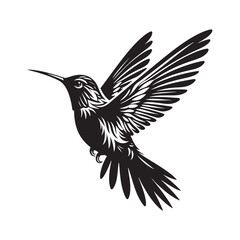 Obraz premium Anna's hummingbird Vector - Minimalist Anna's hummingbird Silhouette - Anna's hummingbird Illustration - Black and White Anna's hummingbird Art.