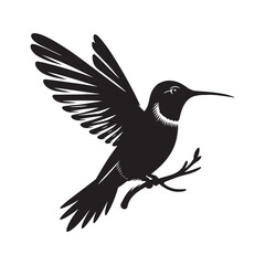 Anna's hummingbird Vector - Minimalist Anna's hummingbird Silhouette - Anna's hummingbird Illustration - Black and White Anna's hummingbird Art.