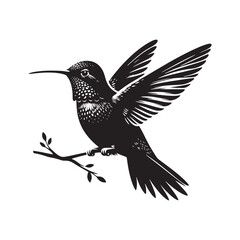 Obraz premium Anna's hummingbird Vector - Minimalist Anna's hummingbird Silhouette - Anna's hummingbird Illustration - Black and White Anna's hummingbird Art.