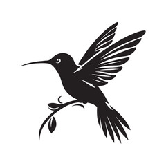 Anna's hummingbird Vector - Minimalist Anna's hummingbird Silhouette - Anna's hummingbird Illustration - Black and White Anna's hummingbird Art.