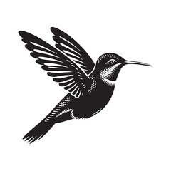 Anna's hummingbird Vector - Minimalist Anna's hummingbird Silhouette - Anna's hummingbird Illustration - Black and White Anna's hummingbird Art.