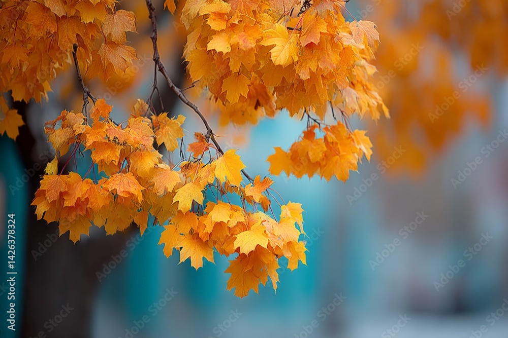 Poster Vibrant orange leaves hang from tree branches in a serene autumn setting with blurred background