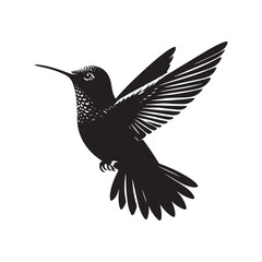 Anna's hummingbird Vector - Minimalist Anna's hummingbird Silhouette - Anna's hummingbird Illustration - Black and White Anna's hummingbird Art.