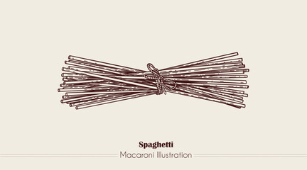 Spaghetti Italian Pasta. Vector hand-drawn sketch of food. Vintage style engraving. etching. Line art