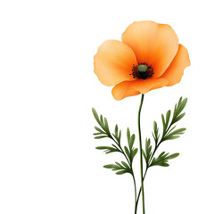 A delicate orange flower with green leaves beautifully displayed. isolated against a transparent background.