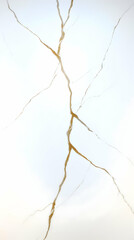 White marble texture with gold veins; background is plain white; ideal for interior design