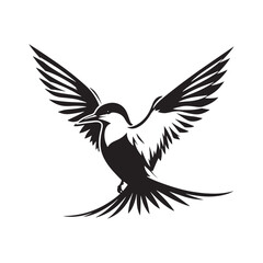 Minimalist Arctic tern Silhouette - Vector of Arctic tern - Black and White Arctic tern bird Design - Artic tern Illustration.