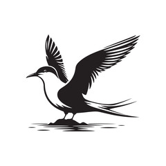 Minimalist Arctic tern Silhouette - Vector of Arctic tern - Black and White Arctic tern bird Design - Artic tern Illustration.