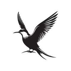Obraz premium Minimalist Arctic tern Silhouette - Vector of Arctic tern - Black and White Arctic tern bird Design - Artic tern Illustration.