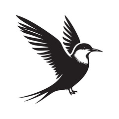 Minimalist Arctic tern Silhouette - Vector of Arctic tern - Black and White Arctic tern bird Design - Artic tern Illustration.