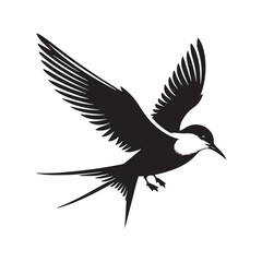 Obraz premium Minimalist Arctic tern Silhouette - Vector of Arctic tern - Black and White Arctic tern bird Design - Artic tern Illustration.