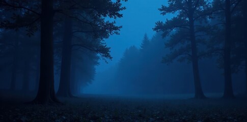Obraz premium Dark blue abstract background with gradient of black and mysterious forest at night, trees, woods