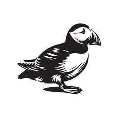 Silhouette of Atlantic puffin - Minimalist Atlantic puffin Vector - Atlantic puffin art - Black and White Atlantic puffin Illustration.