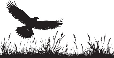 Silhouette of a bird in flight over tall grass against a white background showing wildlife and nature