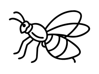 bee on white background