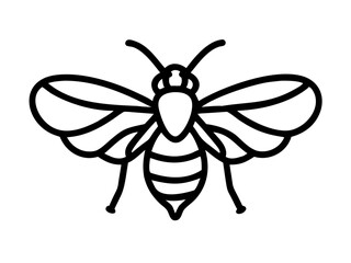 bee on white background