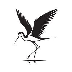 Black-winged stilt Silhouette - Black-winged stilt Vector - Illustration of Black-winged stilt - Black and White Black-winged stilt Design.