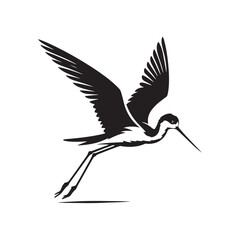 Black-winged stilt Silhouette - Black-winged stilt Vector - Illustration of Black-winged stilt - Black and White Black-winged stilt Design.