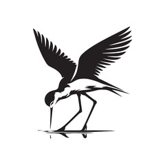 Black-winged stilt Silhouette - Black-winged stilt Vector - Illustration of Black-winged stilt - Black and White Black-winged stilt Design.