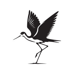 Black-winged stilt Silhouette - Black-winged stilt Vector - Illustration of Black-winged stilt - Black and White Black-winged stilt Design.