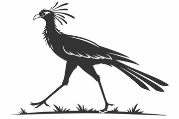 secretary bird sihouette black vector