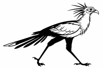 secretary bird sihouette black vector