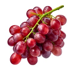 Fototapeta premium A vibrant bunch of fresh red grapes isolated on a clean white background