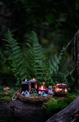 witch copper cauldron, burning black candles, amulet, quartz crystals in forest, natural...