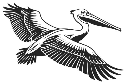 pelican sihouette black vector
