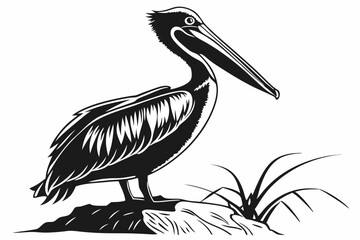 pelican sihouette black vector